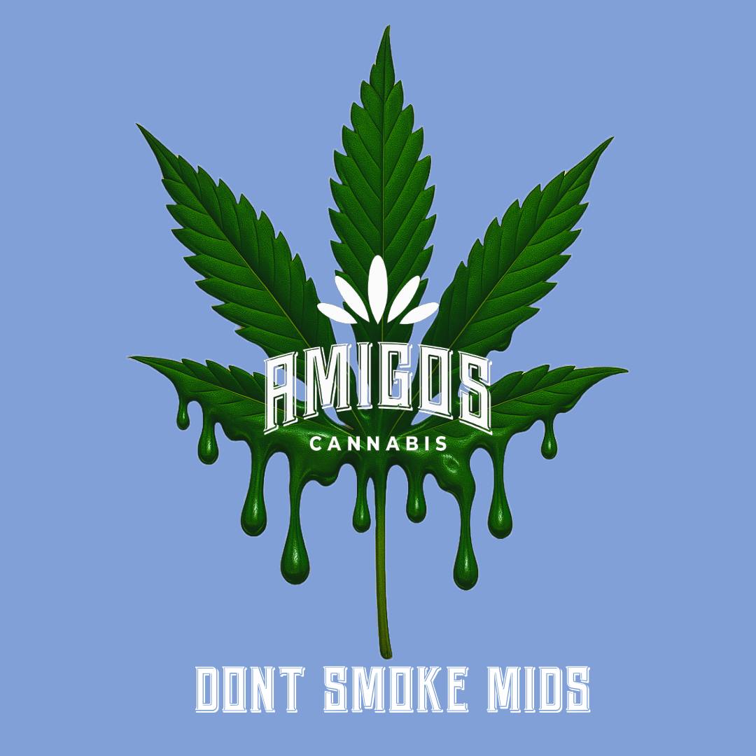 Amigos Ash Tray - Acrylic | Accessories