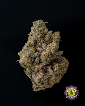 Platinum Lemon Cherry Gelato