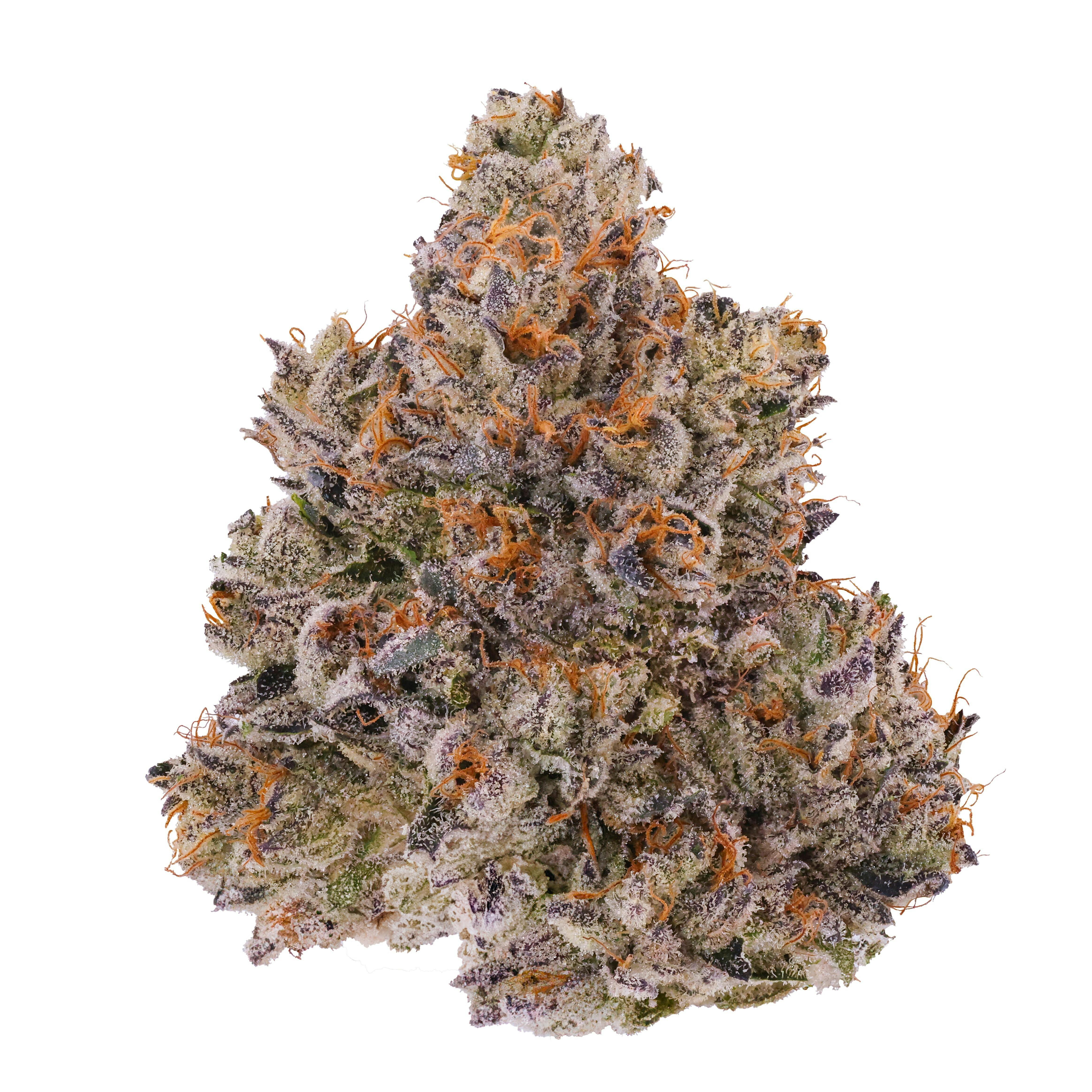 Fig OG 3.5G