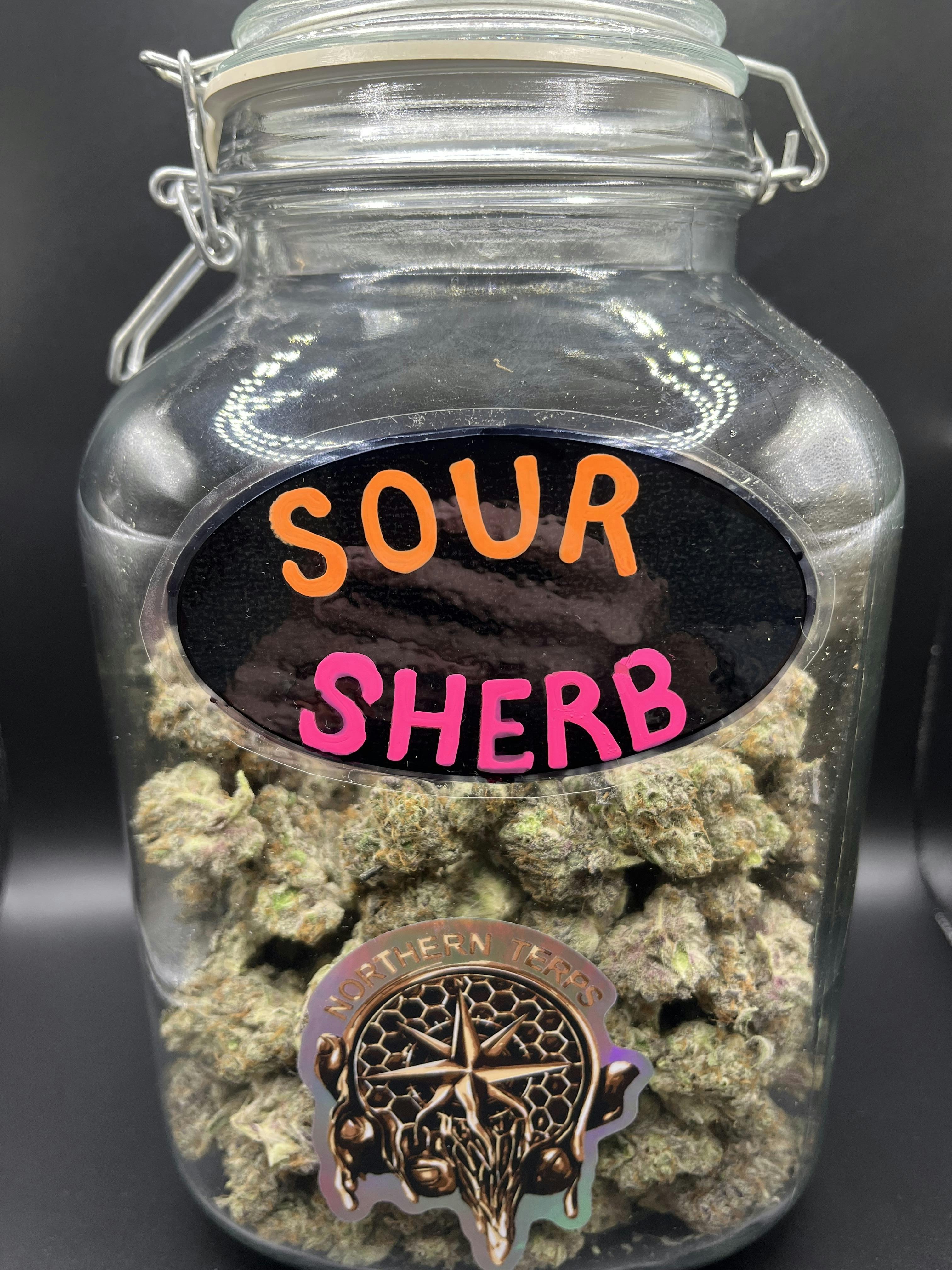 Northern Terps | Flower | Sour Sherb cannabis product