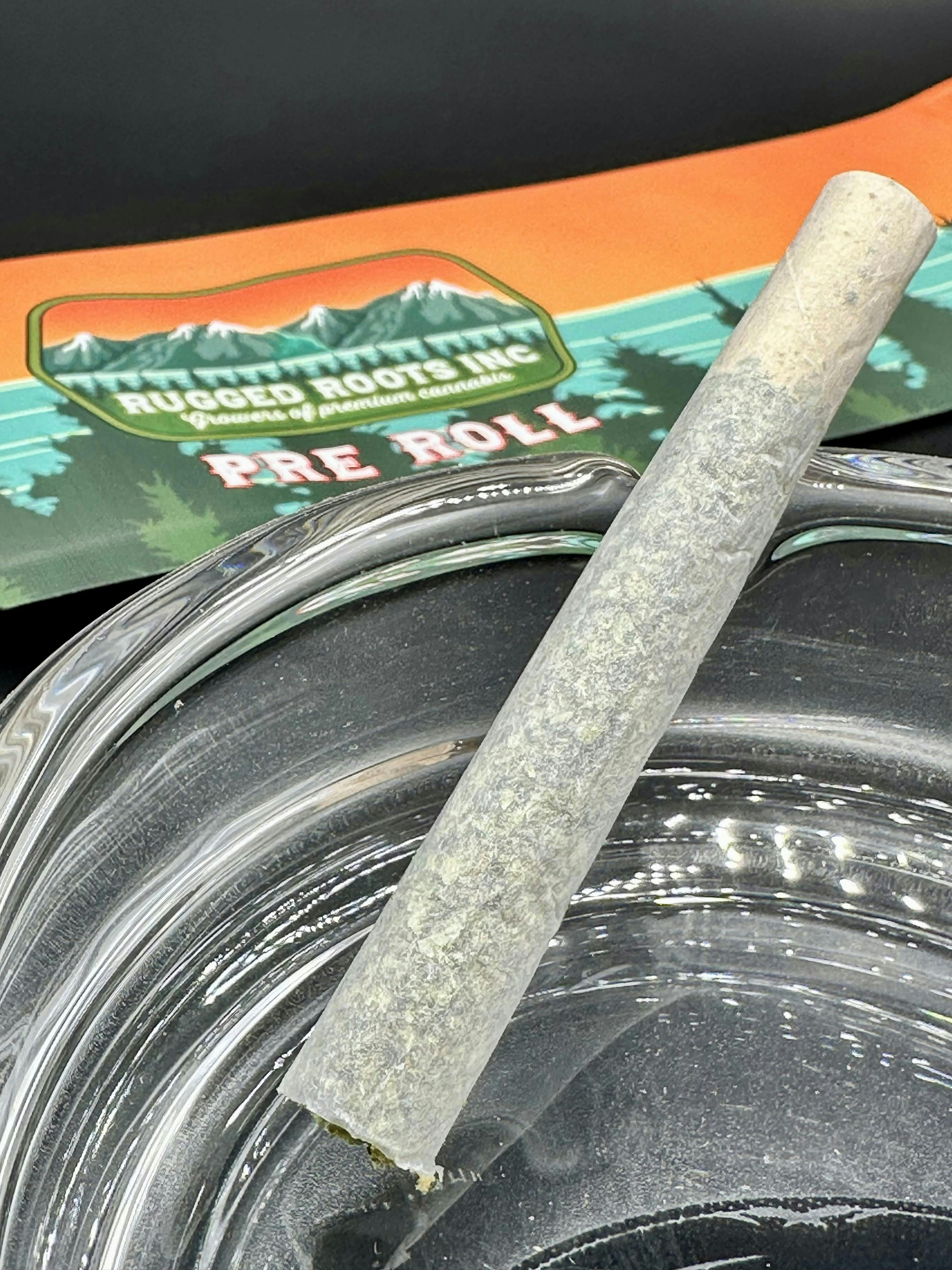 Rugged Roots | 1G Preroll | Sherb Cream Pie cannabis product