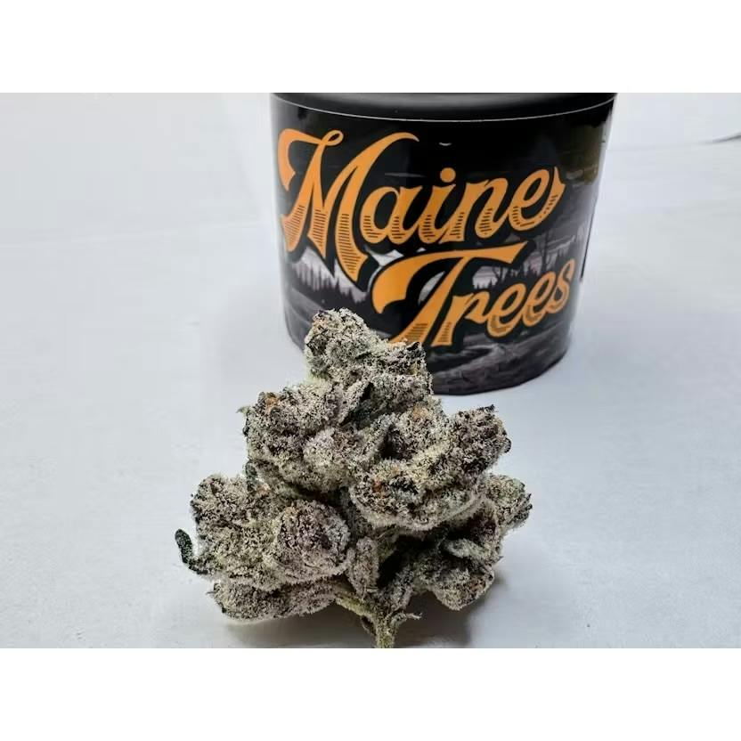 Maine Tree’s | $65 Small Bud 1/2oz cannabis product