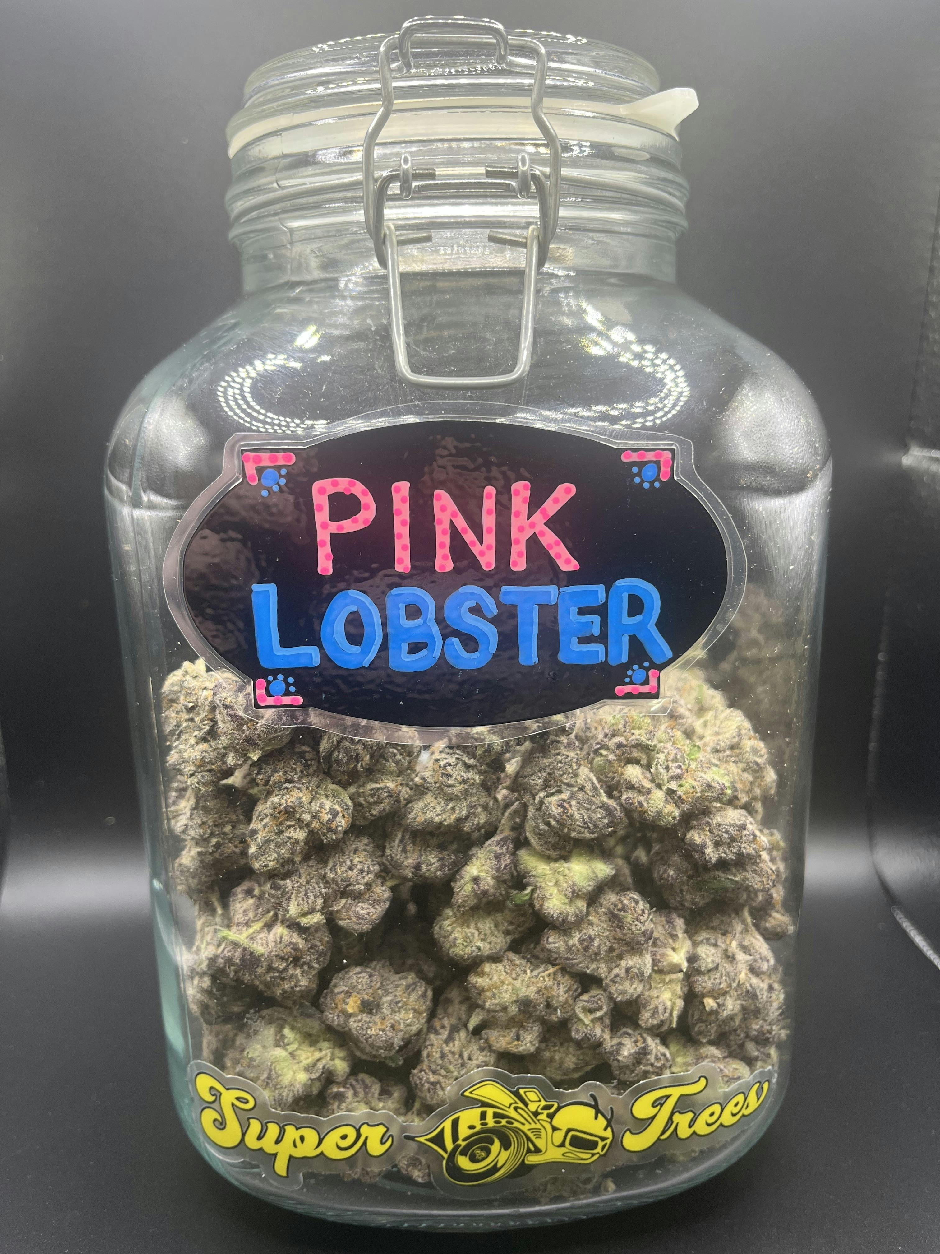Maine Tree’s / B’s Tree’s | Flower | Pink Lobster cannabis product