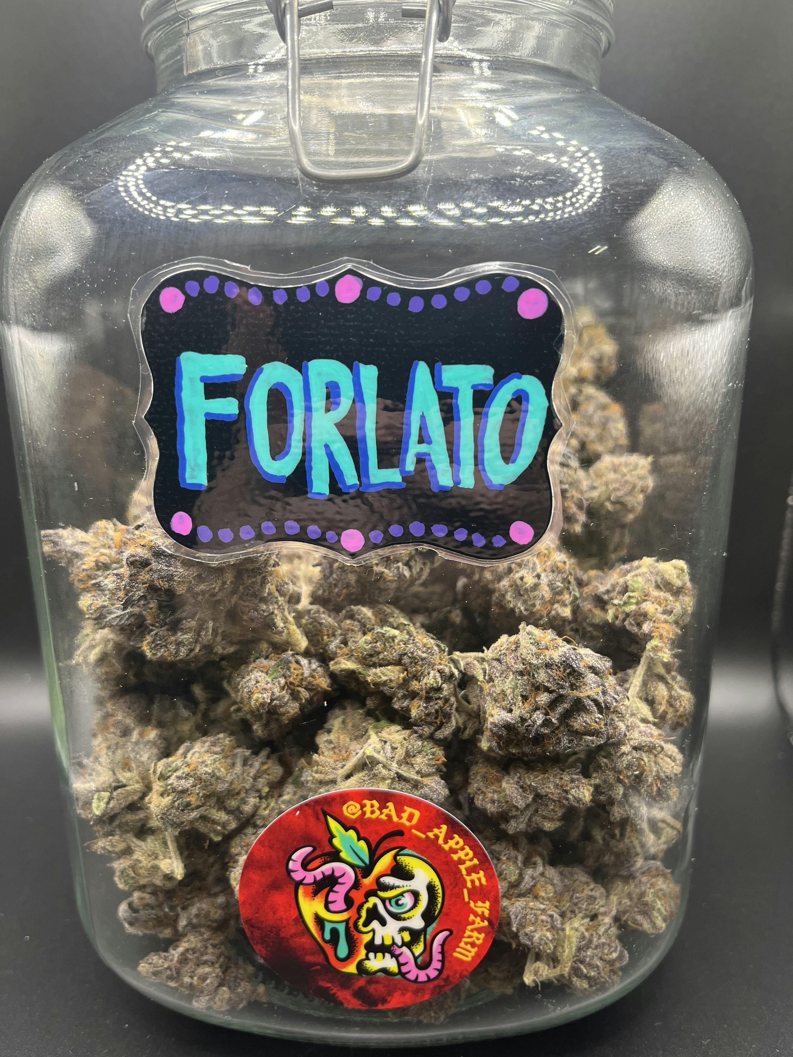 Bad Apple Farm | Flower | Forlato cannabis product