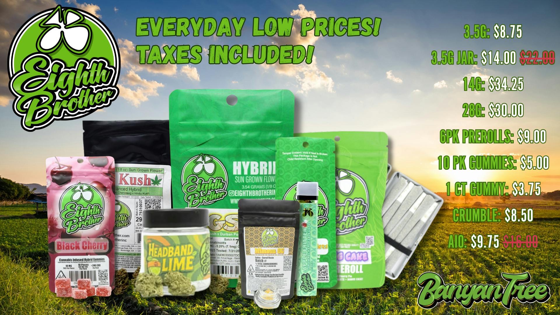 Eighth Brother: Sun Grown From Superior Genetics at Banyan Tree
