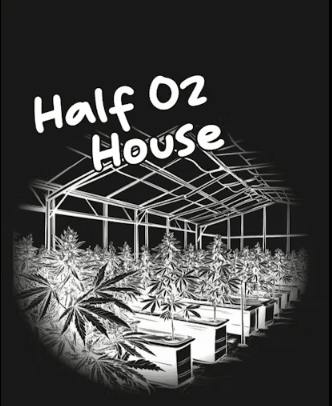 SHERBLATO | SMALLS FLOWER | 14G | HALF OZ HOUSE