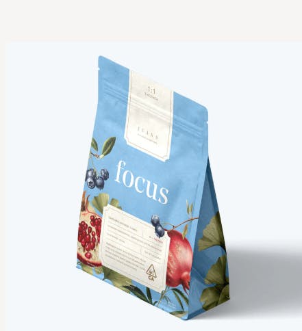Juana: Focus - : Ginkgo Biloba