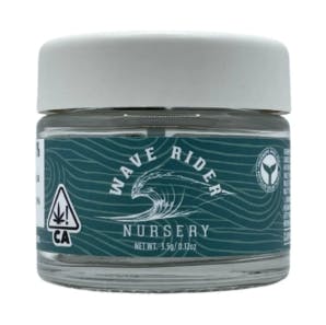Apple Fritter: Wave Rider