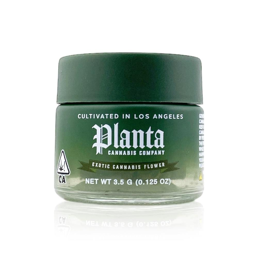 Planta Cannabis co: Coffin Candy