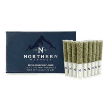 Blackberry Gelato | Minis | 0.35g each | 10pk