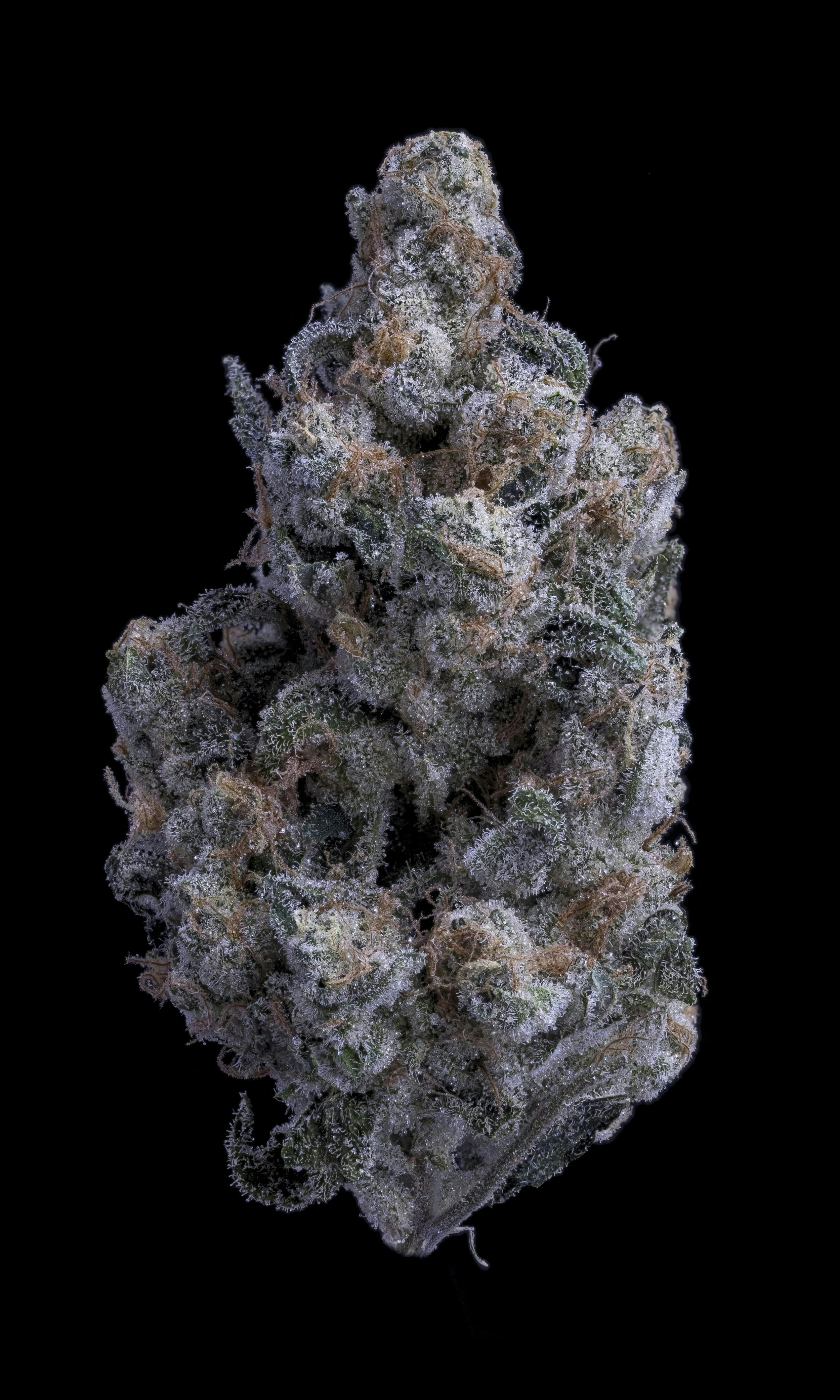 Sticky Status: Lemon Mints