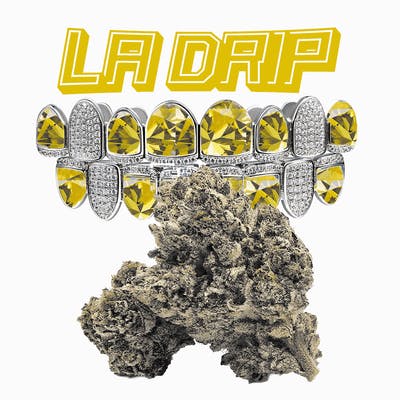 GREEN DRAGON - — LA Drip