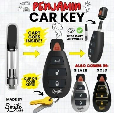 Penjamin Car Key - Battery