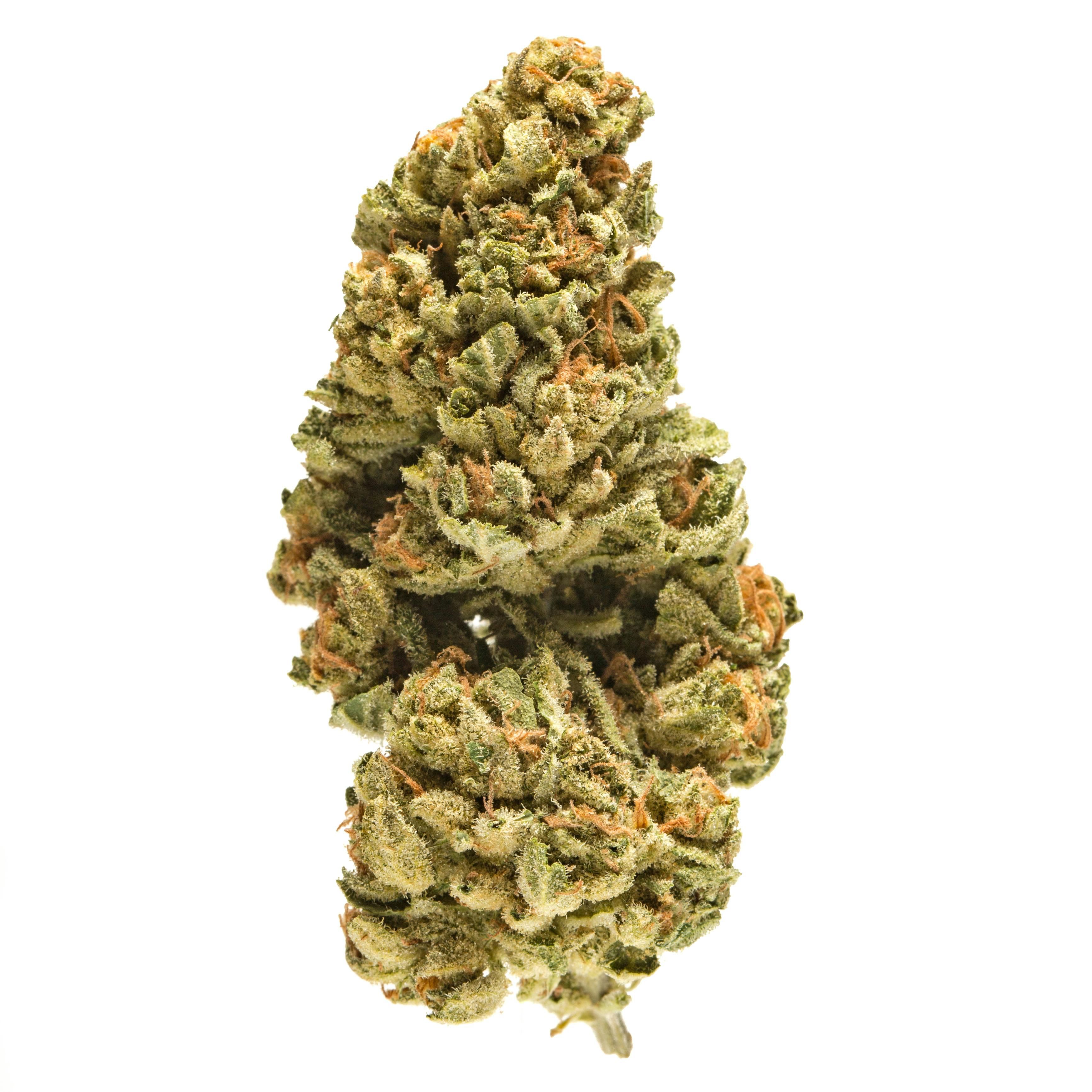 Tire Fire Purple Punch 3.5 8TH