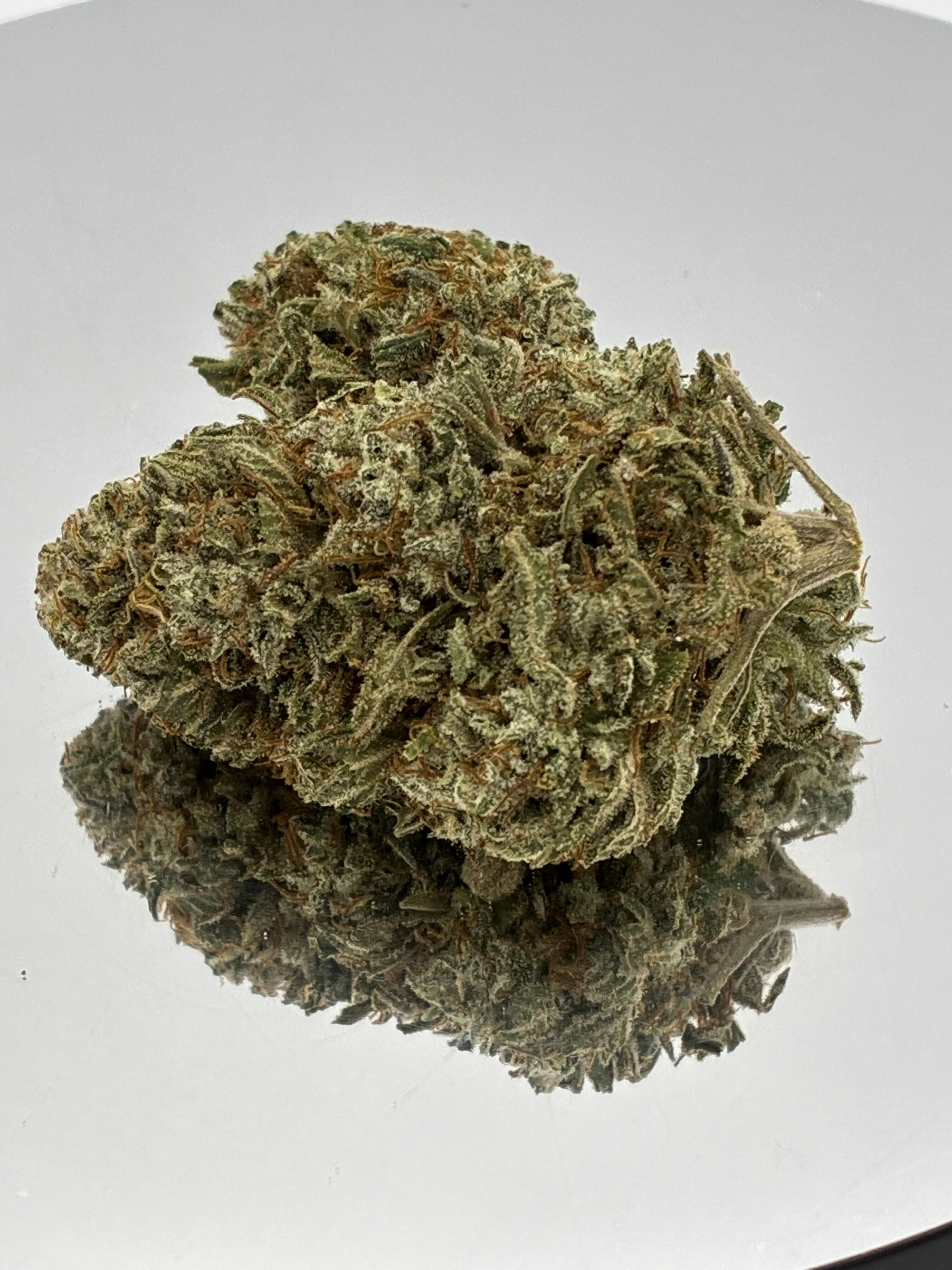 Native Veteran | 006 - 3.5g
