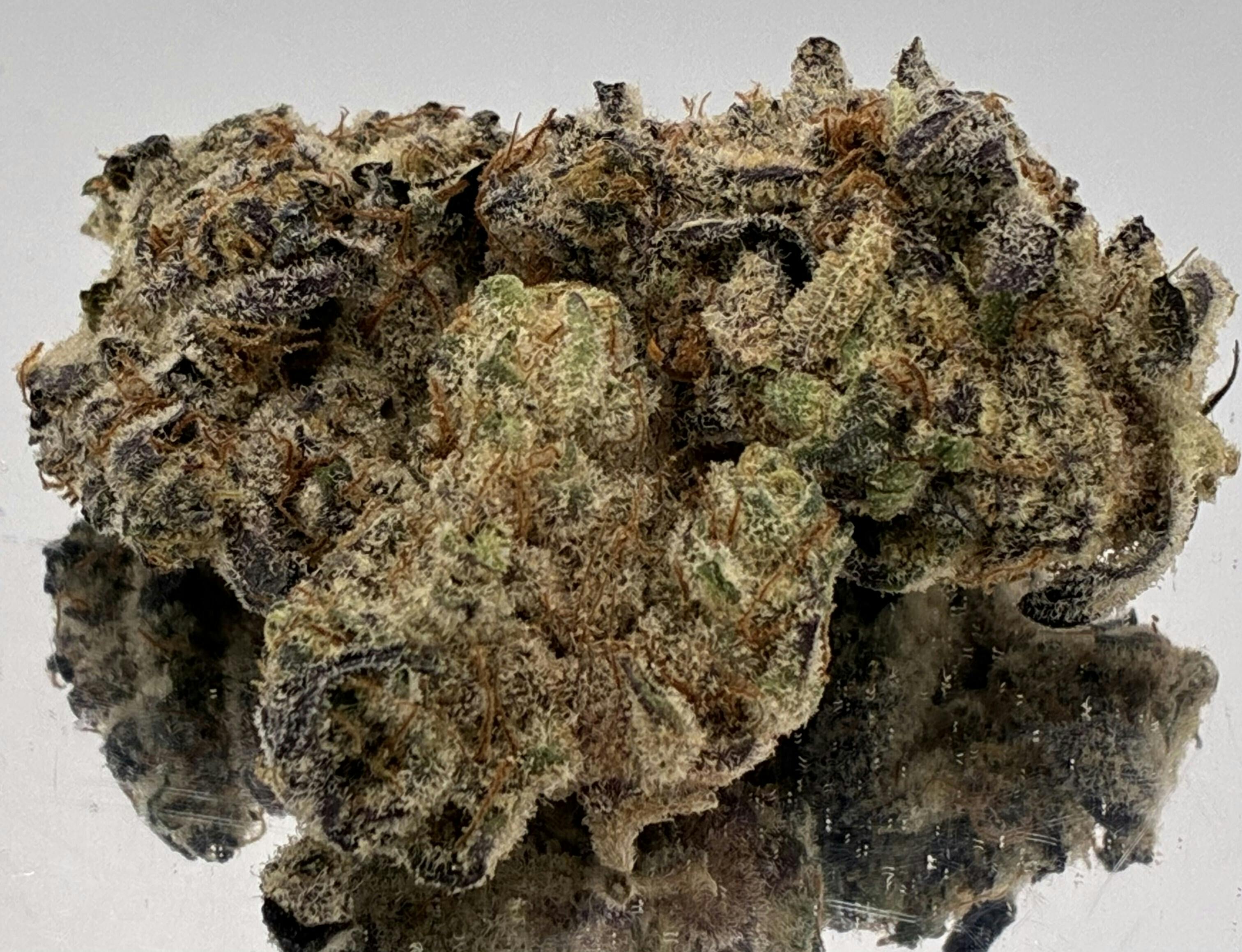Platinum Garlic Breath