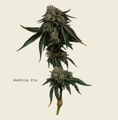Heartland Farms | Wedding Pie - 3.5g