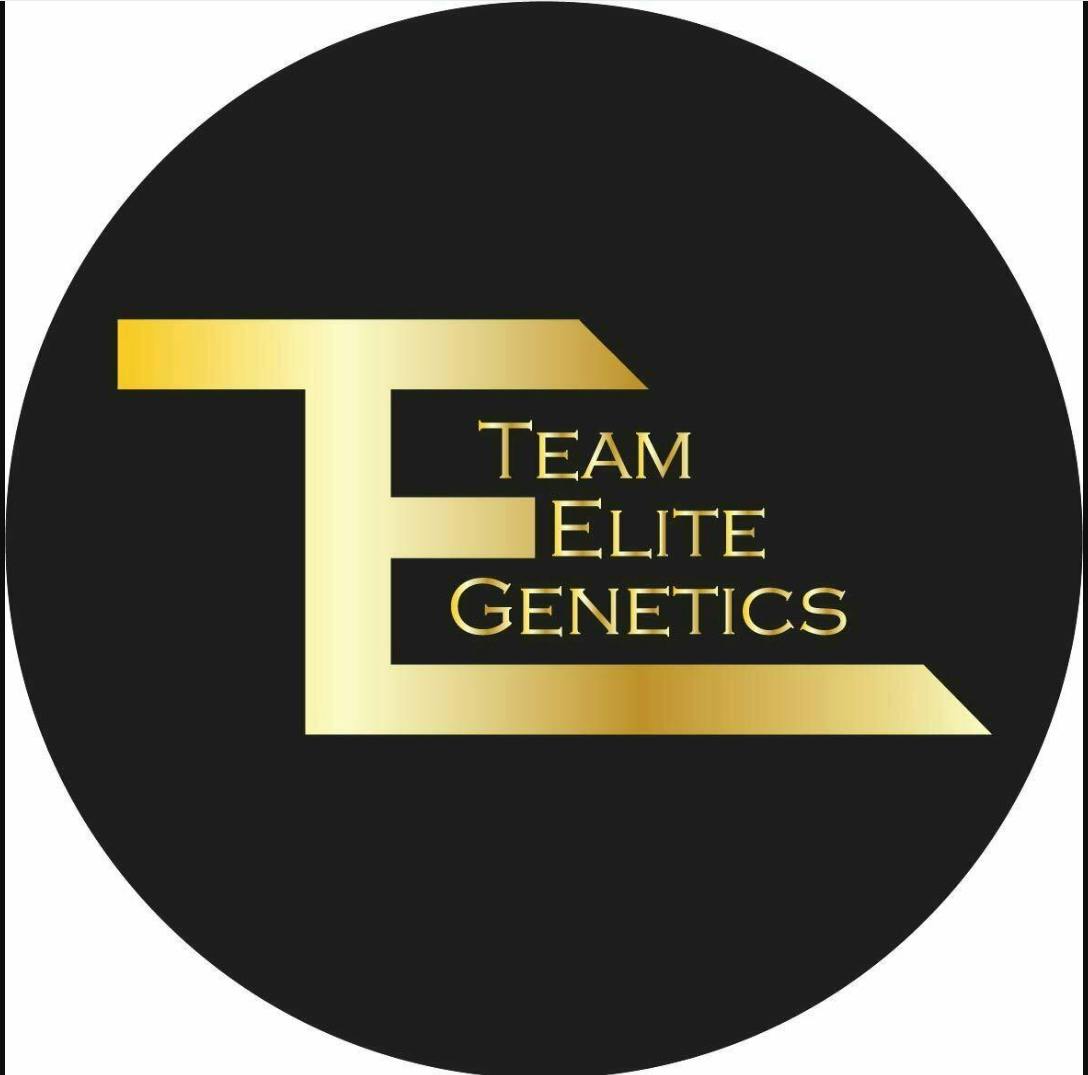 Team Elite Genetics: Freeze Cup