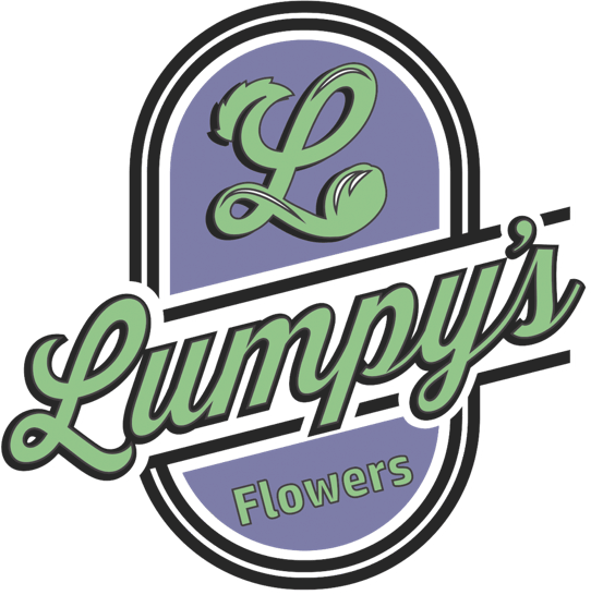 LEMON SQUAREZ PREROLL 1G
