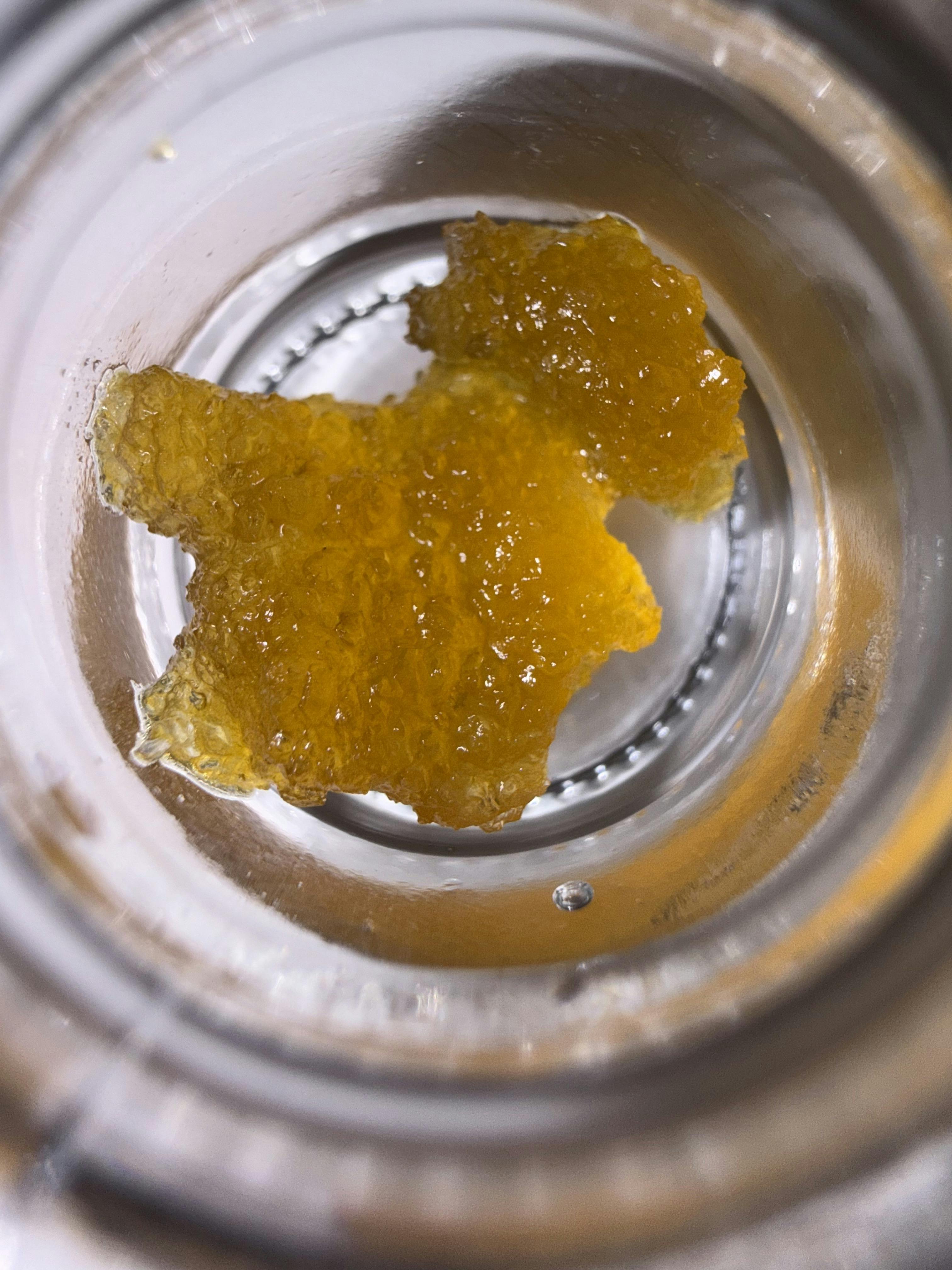Data #1 x White Truffle | Solvent | 1g