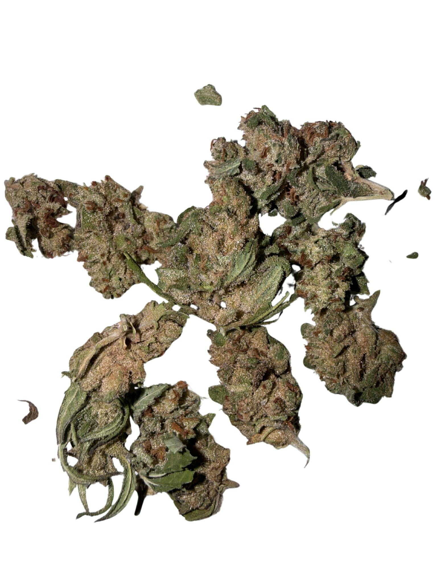 Sour Garlic Cookies 1 oz.