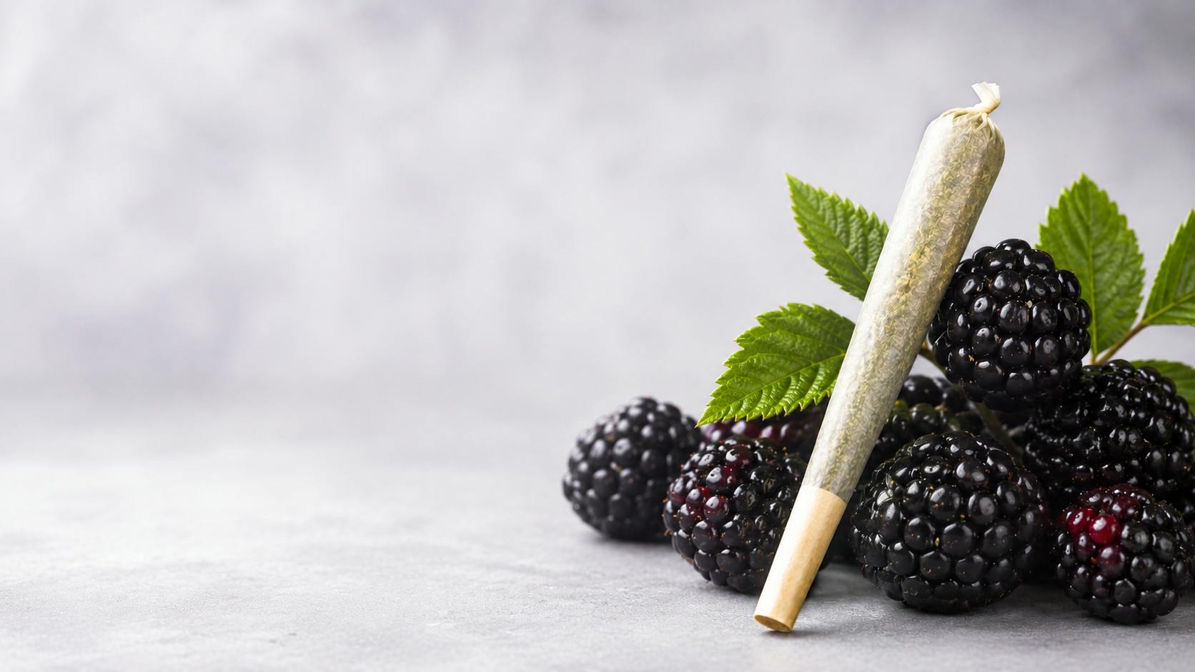 Blackberry Kief Infused Preroll Pack - 28g