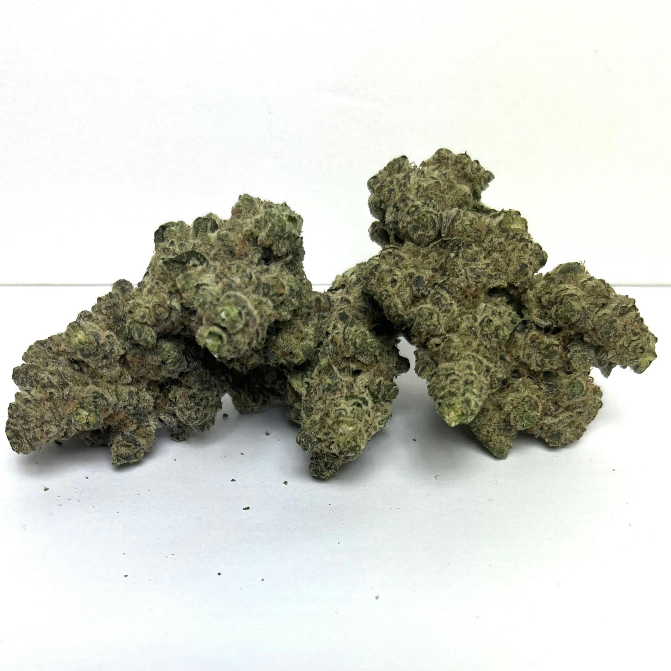 Honey Bud | Top Shelf Shelf Flower | (I/H) Slapz