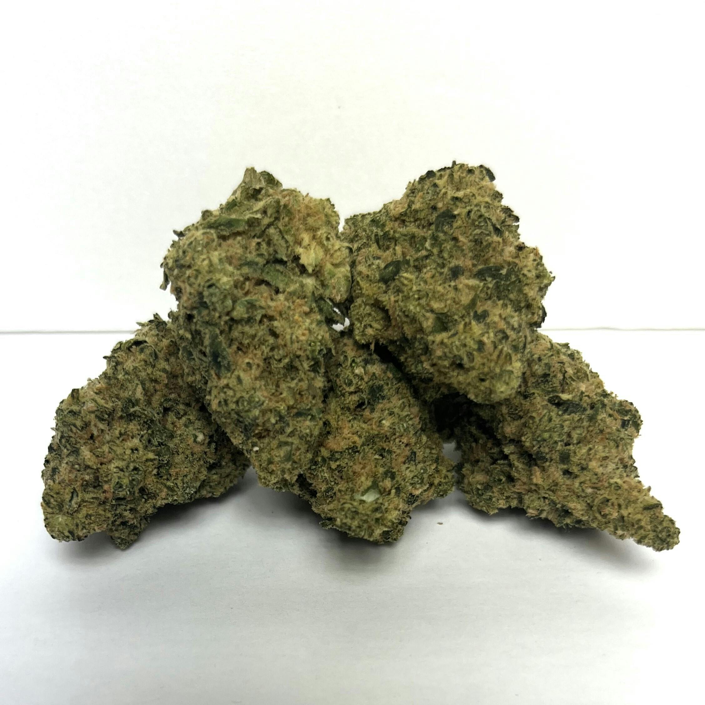 Beyond Broadway | Premier Shelf Flower | (S) Lemon Jet Haze
