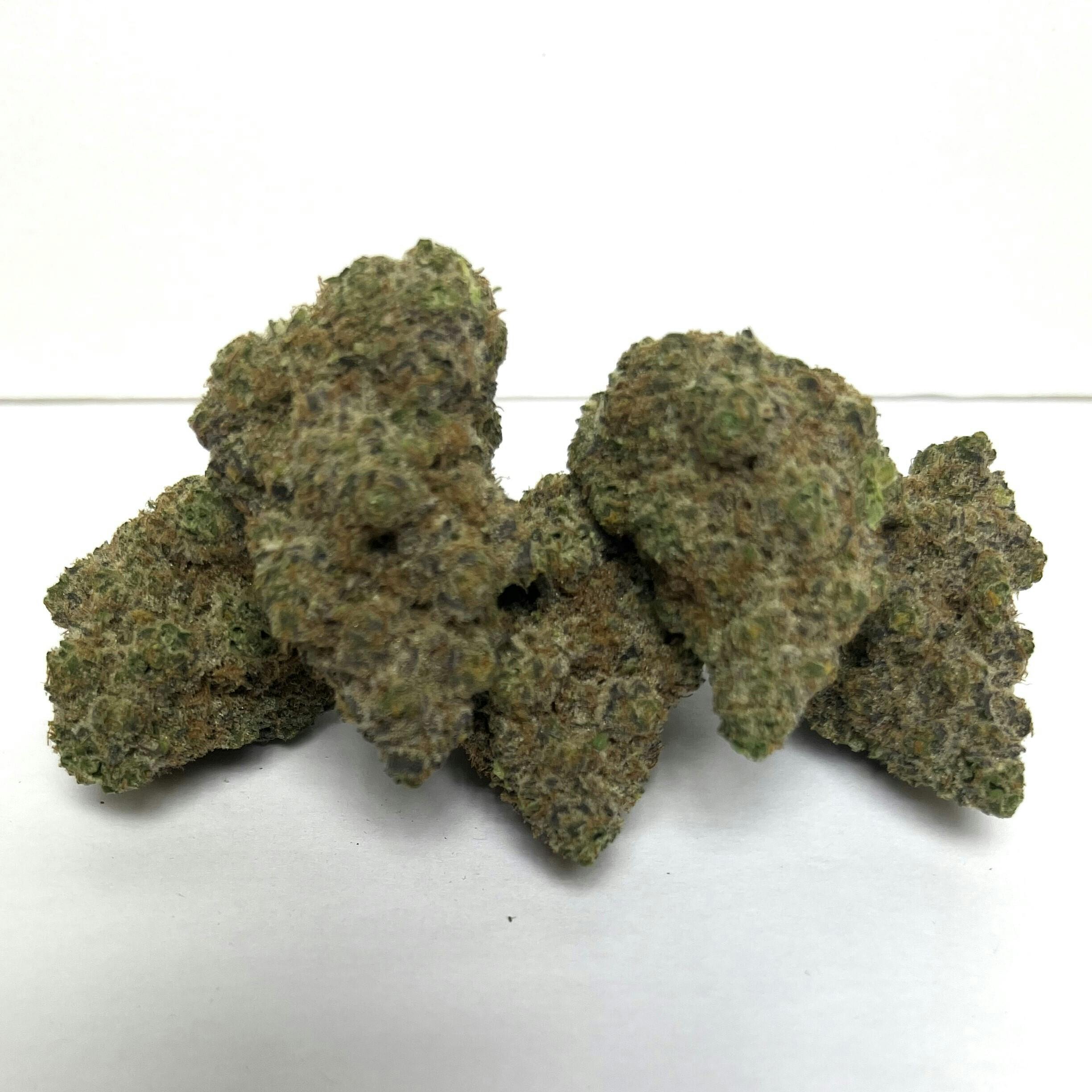 Bonsai | Premier Shelf Flower | (I) Blueberry Muffin