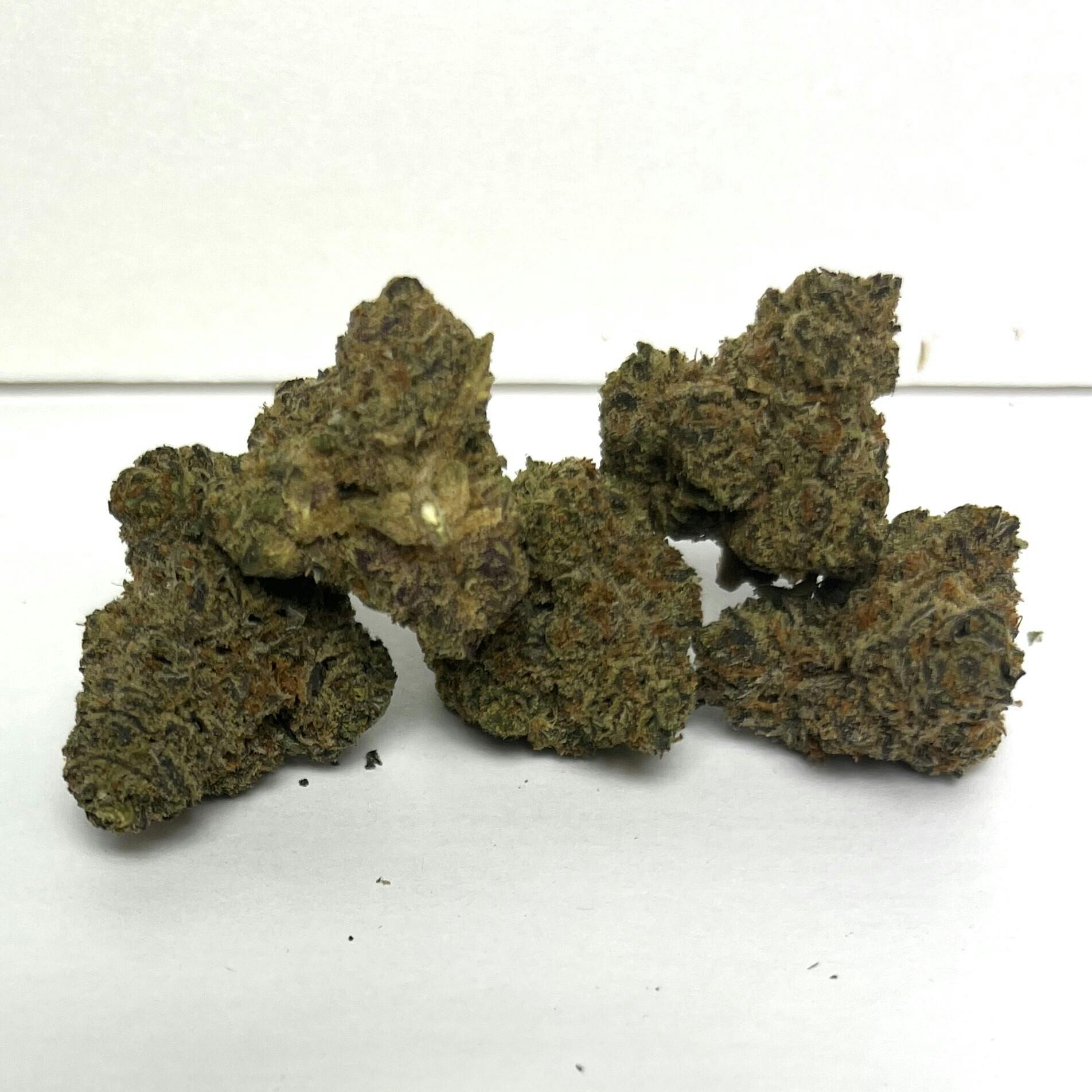 DH Systems | Premier Shelf Flower | (I) Sherbanner ZZ