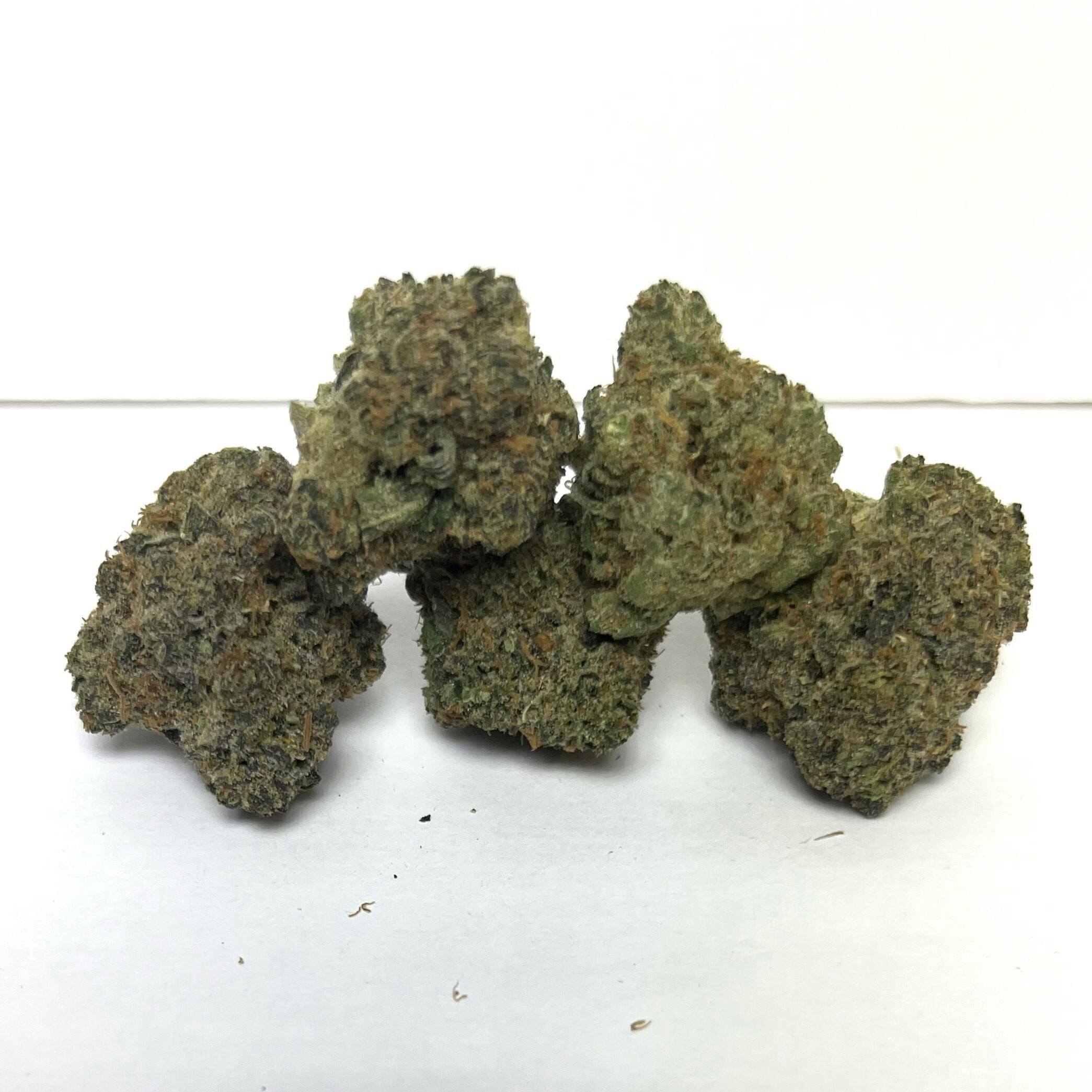 Dh Systems Premier Shelf Violet Funk