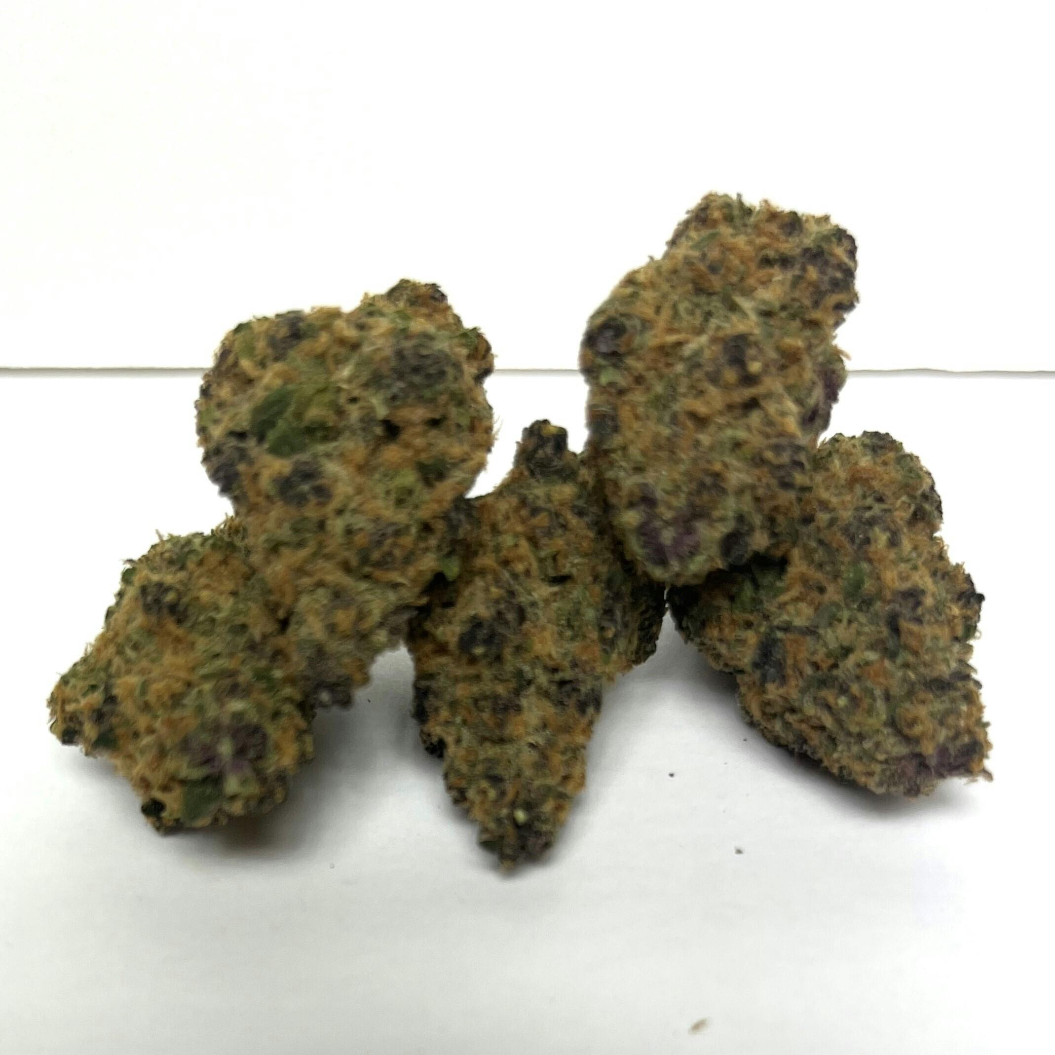 DH Systems | Premier Shelf Flower | (H) Forbidden Fruit