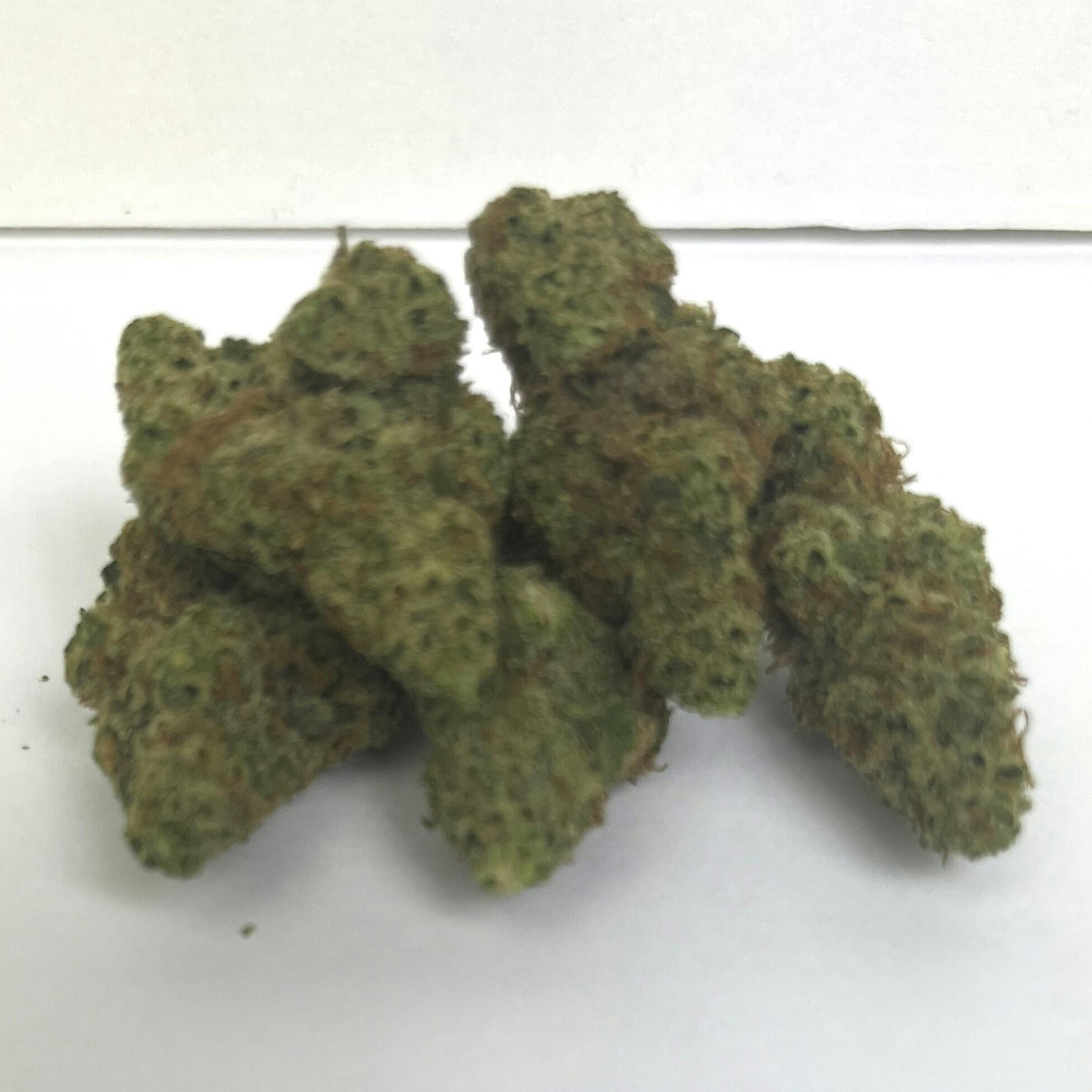 NOBO | Reserve Shelf Flower | (H) Papaya Pearls
