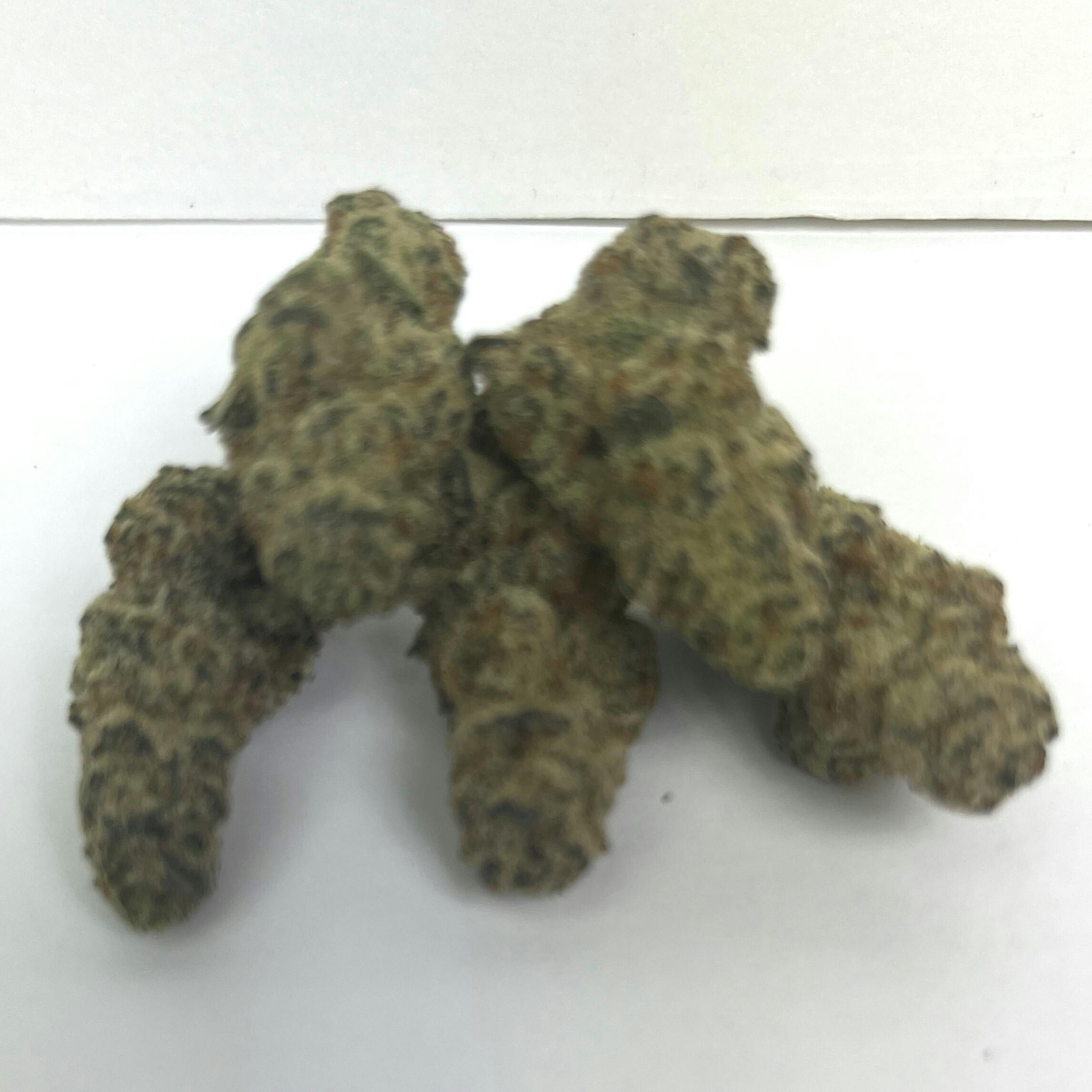 NOBO | Reserve Shelf Flower | (H) Glitter Bomb