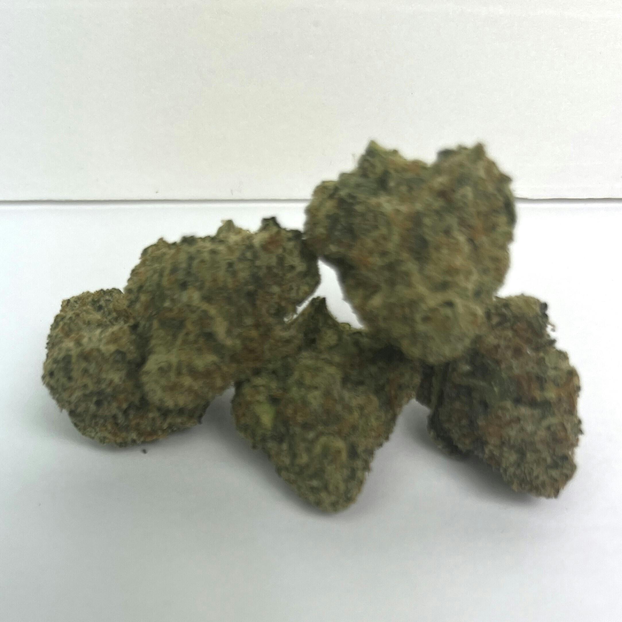 NOBO | Reserve Shelf Flower | (I) Cake Pops
