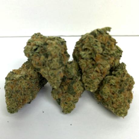 Broadway Master Mint