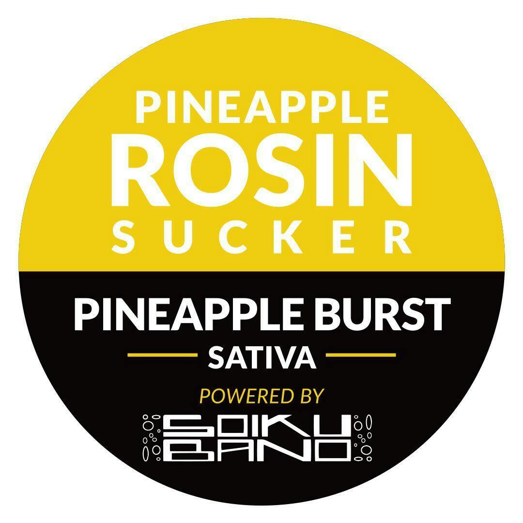 Mountain High | Rosin Suckers | Pineapple Burst