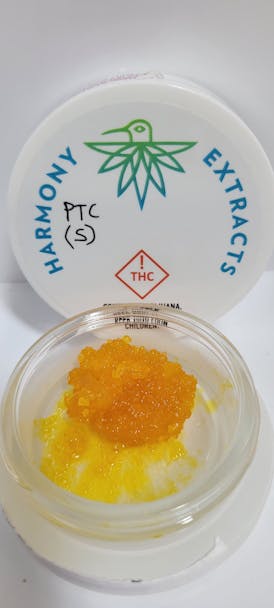 ***SALE $70 OTD***HARMONY | 4g LS | (S) Purple Tropicana