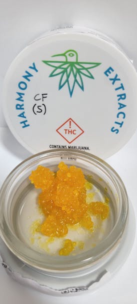 ***SALE $70 OTD*** Harmony | 4g LS | Cactus Fruit