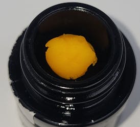Timberline Extracts | 1g Wax | (H) Mai Tai ***SALE*** 4/ $55 OTD 8 /$100 OTD***