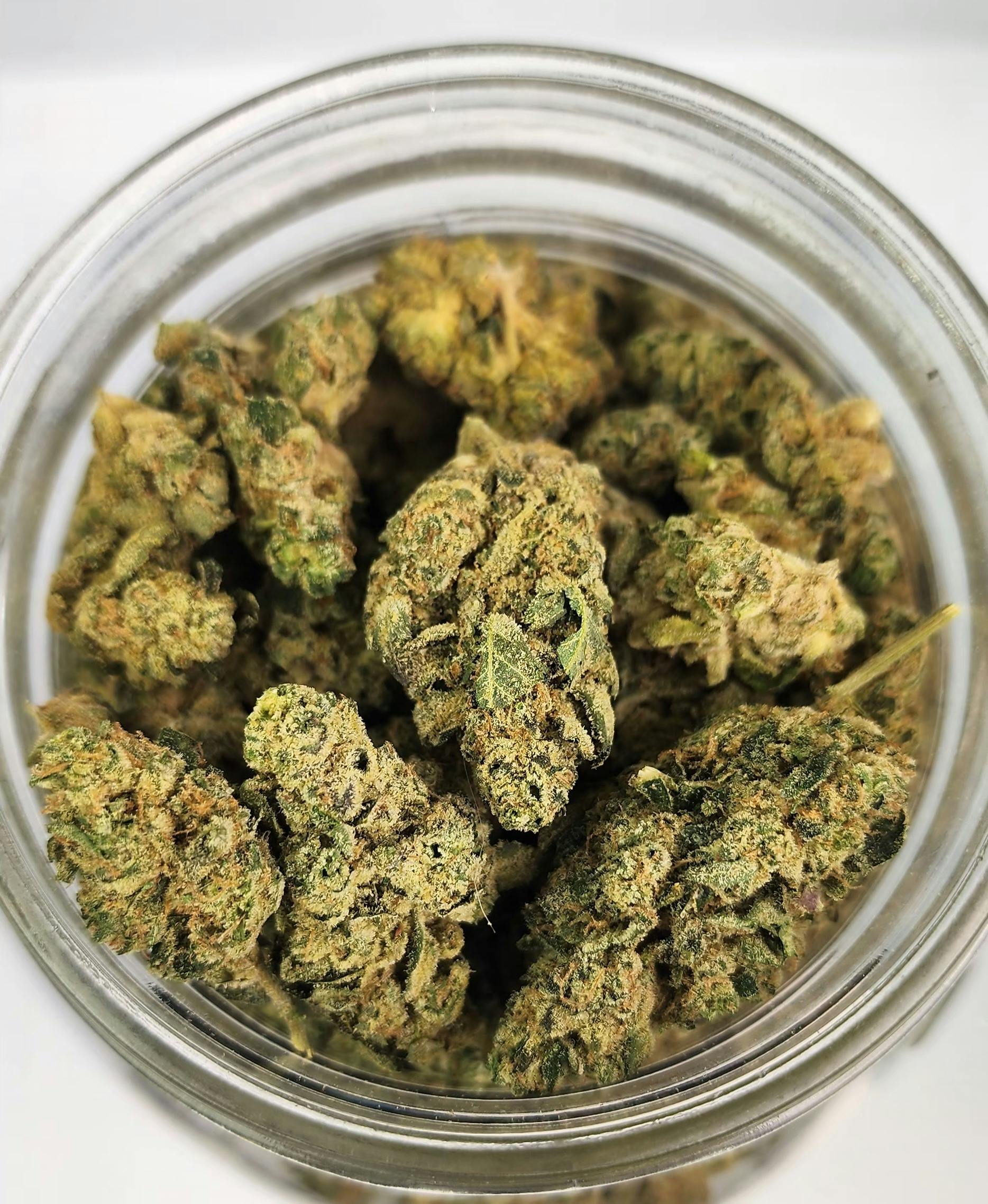 Sloth | Top Shelf Flower | (S) Jet Fuel