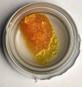***SALE $70 OTD*** Harmony | 4g LS | Cactus Fruit