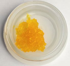 Harmony | 4G Live Sugar | Blue Runtz