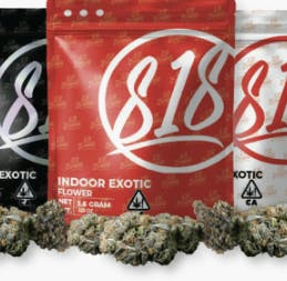 GAS FACE - — 818 Brands