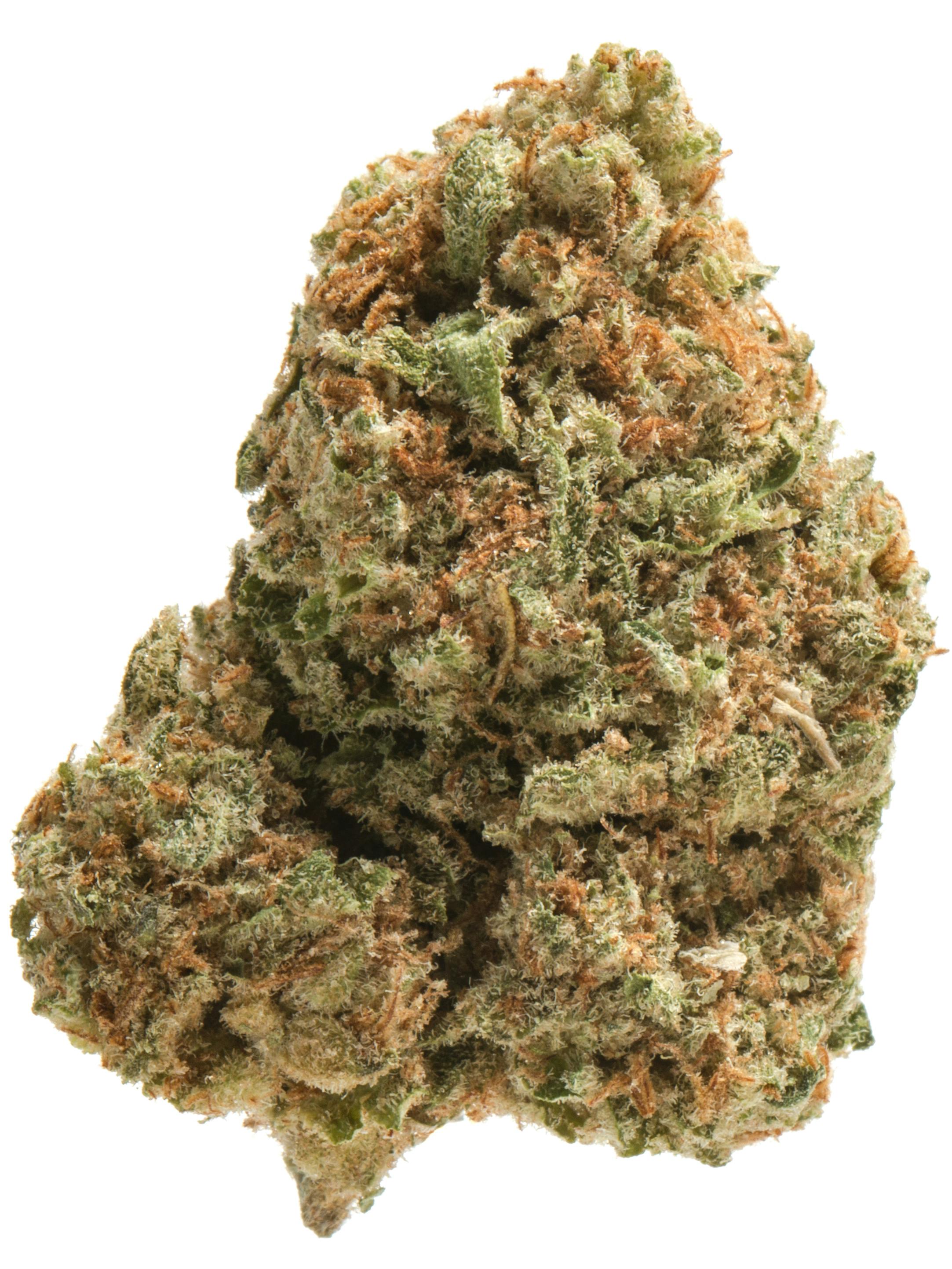 PineApple Express at King of Releaf