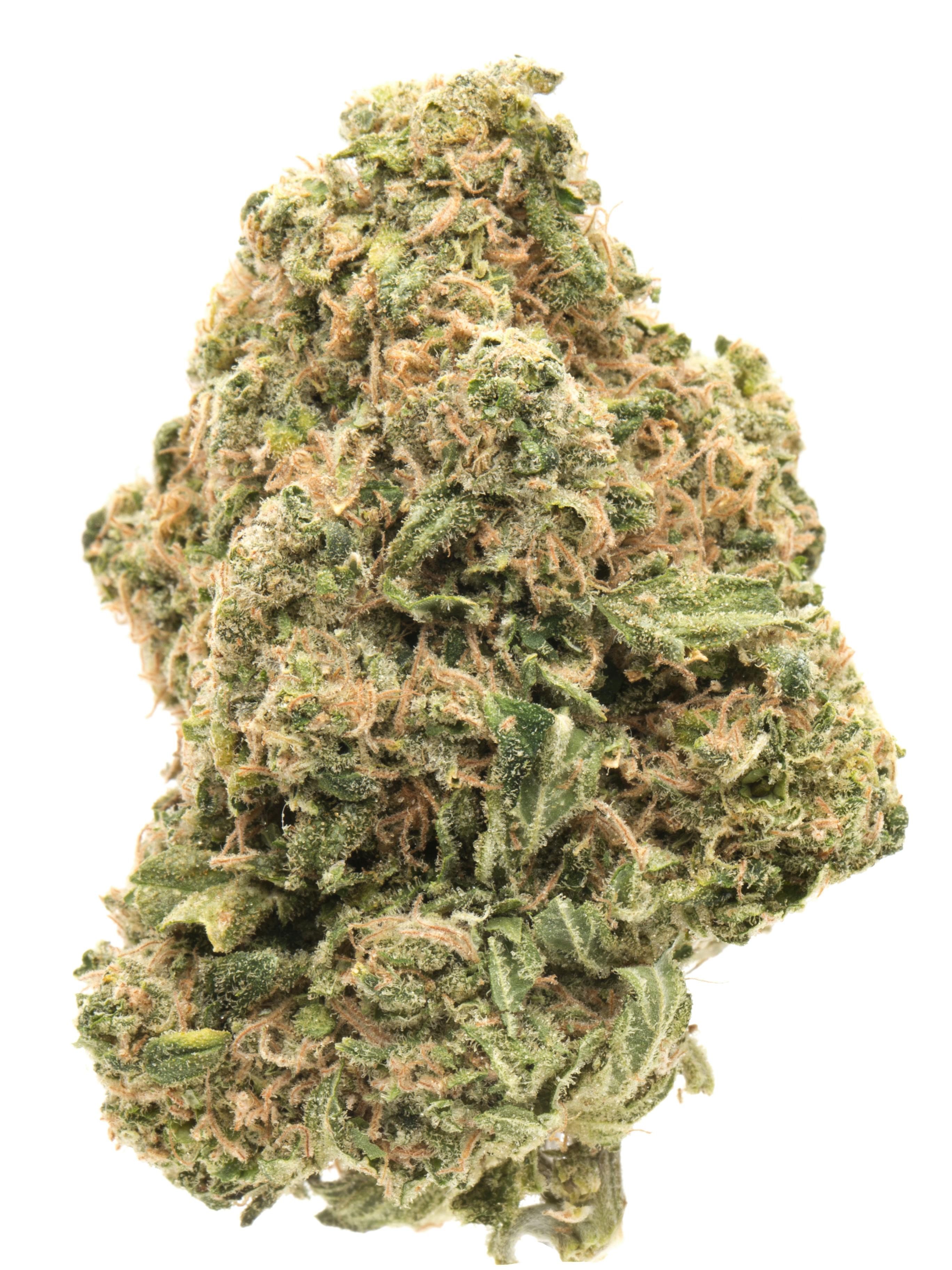 White Widow at King of Releaf