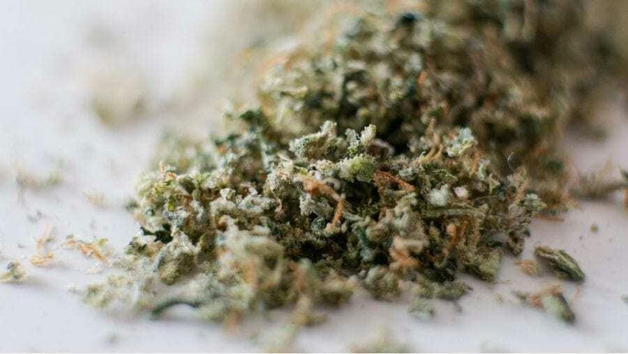 KOR Shake Deal at King of Releaf