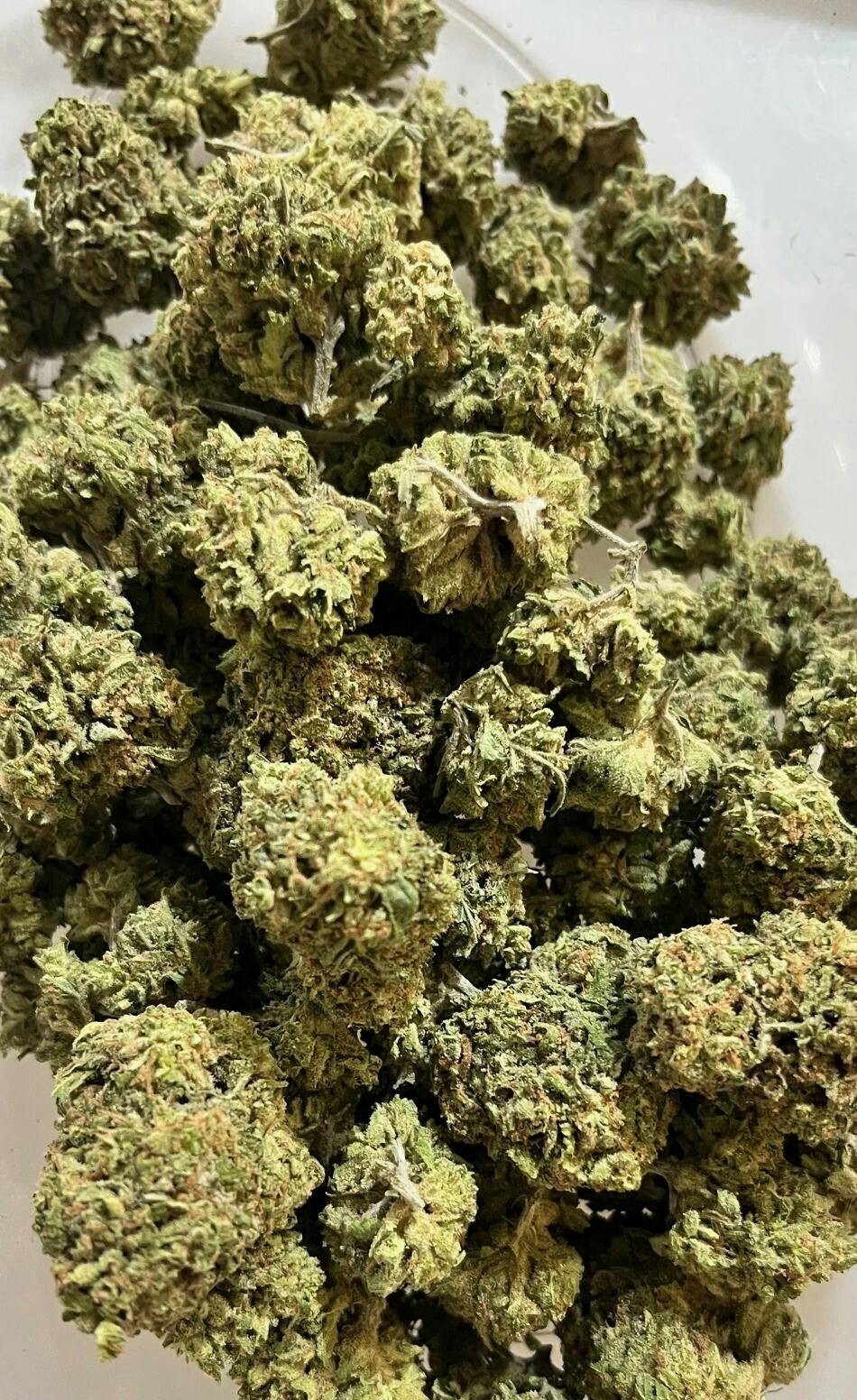 Guava OG - Bulk - DGTR