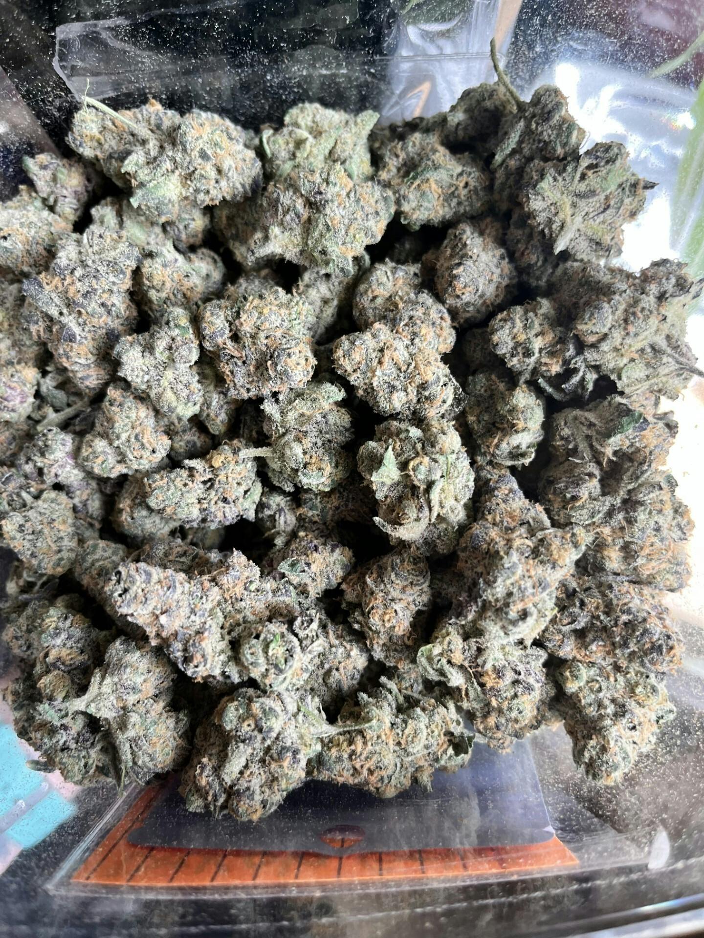 B.A.M.- Bud/Flower - DGC