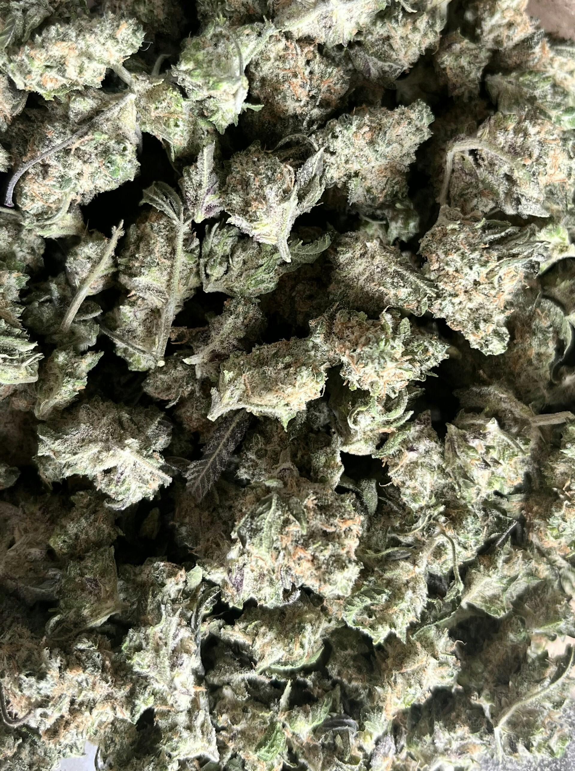 Mendo Breath Flower at Dakota Kind Dispensary
